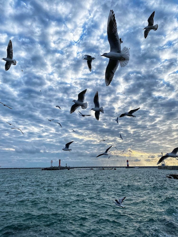 Photograph by Валентина