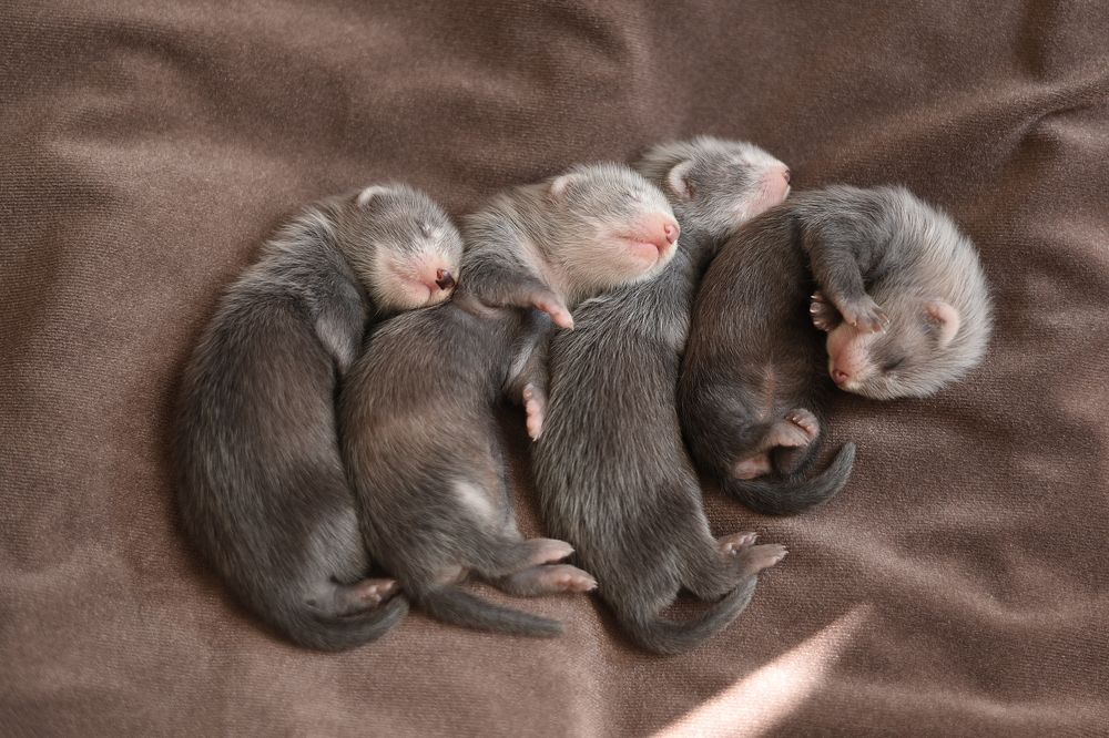 Детский крепкий сон