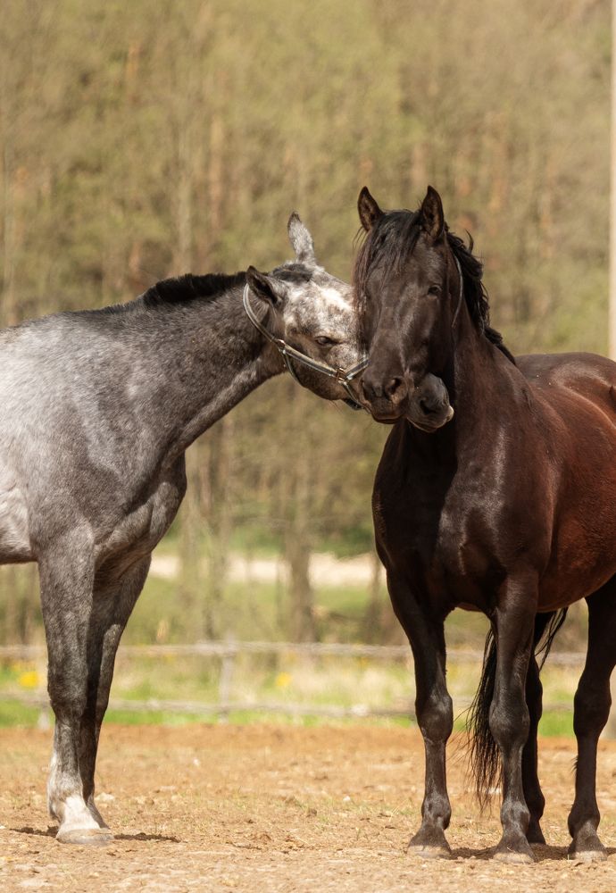 Фотография автора наталья залогина