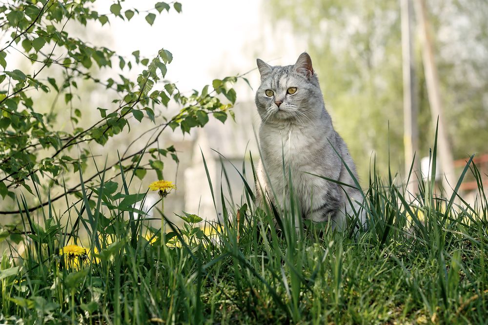 Photograph by Крышен Сергей