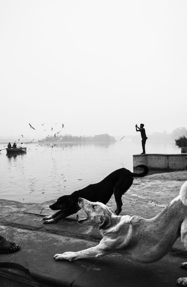 Photograph by rohit nayak