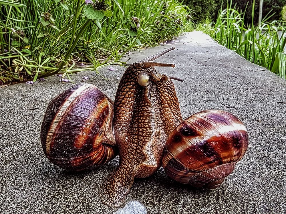 Photograph by Елена Пономарева