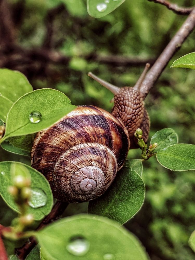 Photograph by Елена Пономарева