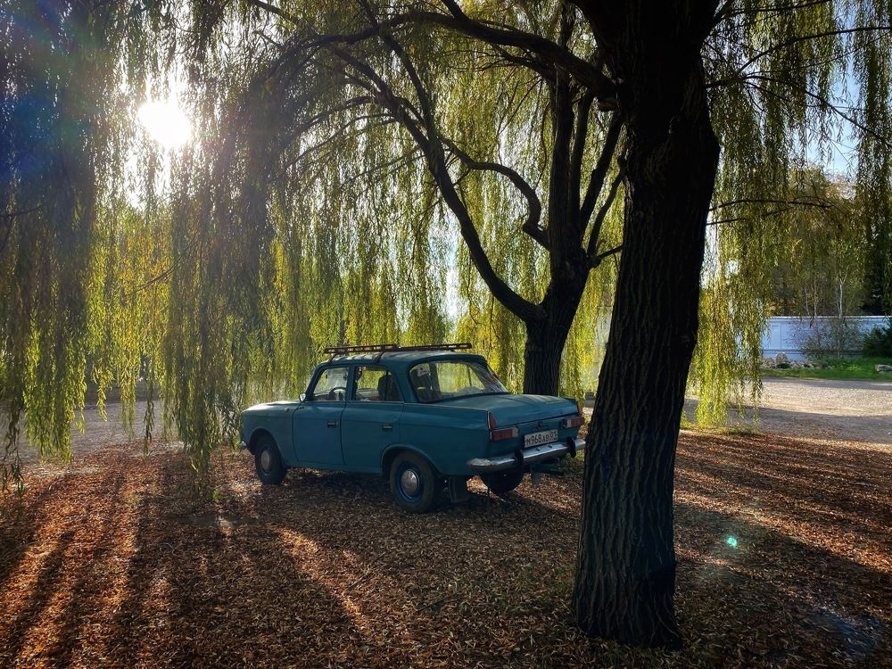 Photograph by Павел Савинский