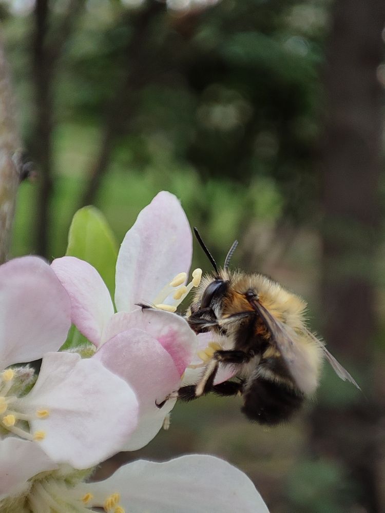 Photograph by mahdi roozbahani