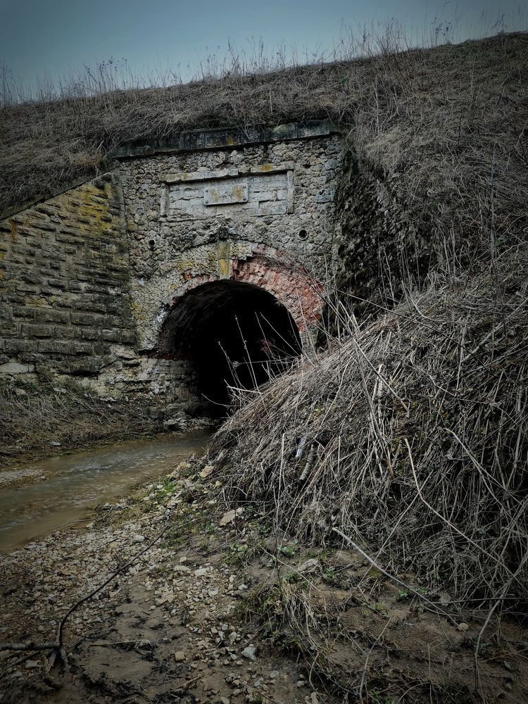 Photograph by Мария Шамина