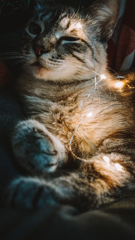 Photograph by Юлия