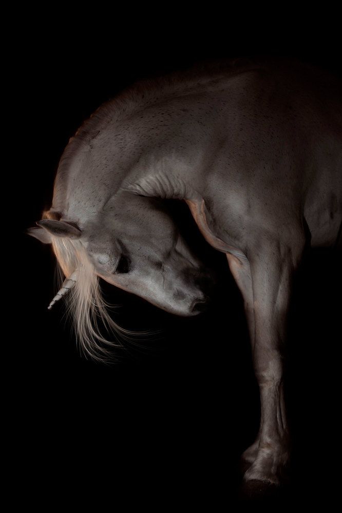 Photograph by Похабова Любовь