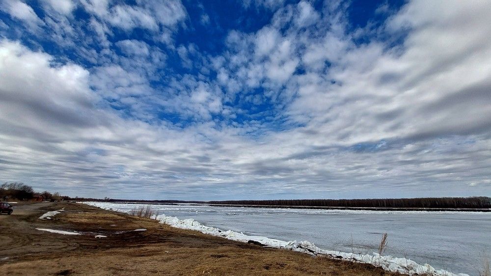 Перед ледоходом .