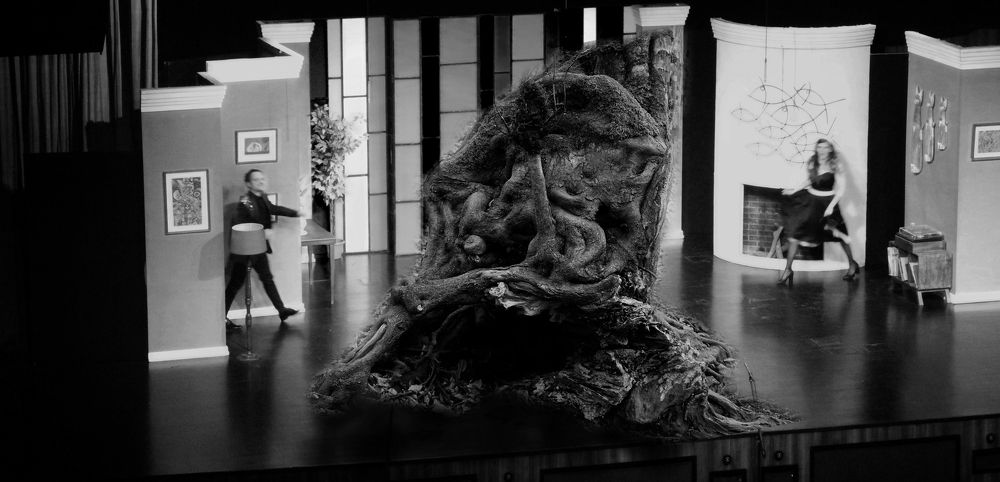 Photograph by Muzaffer Sütlüoğlu