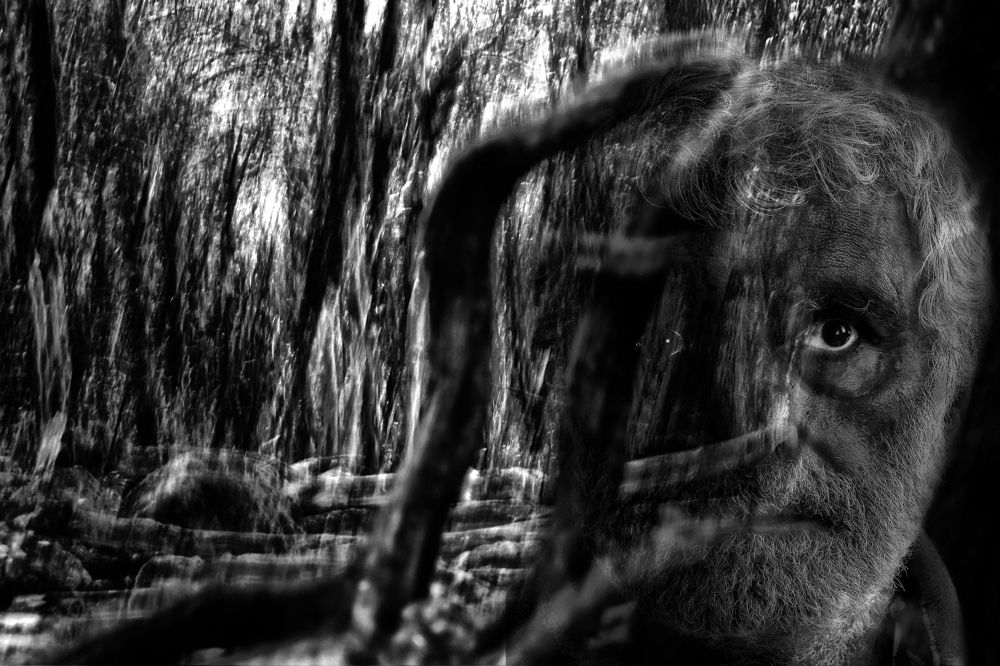 Photograph by Muzaffer Sütlüoğlu