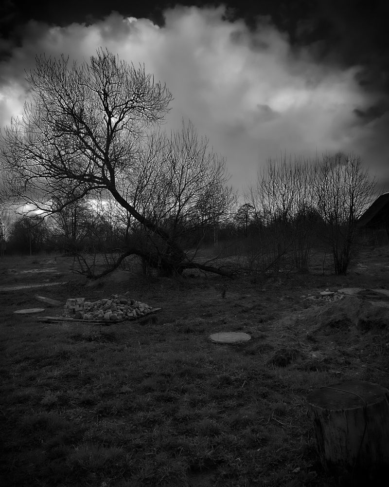 Photograph by Егор Ходаркевич