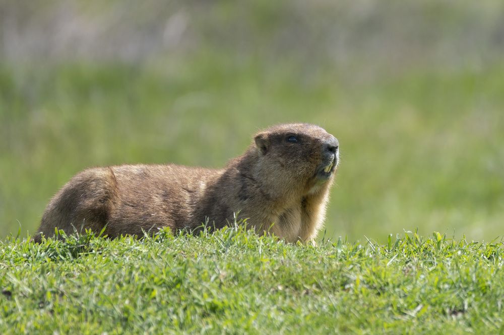 Фотография автора Галина