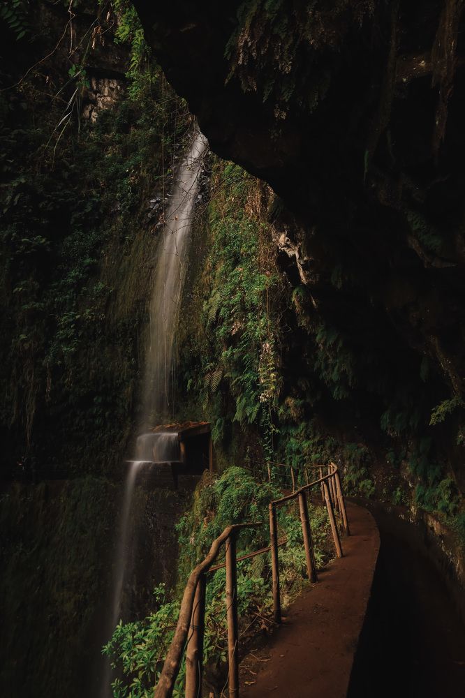 Photograph by Наталья Посашко