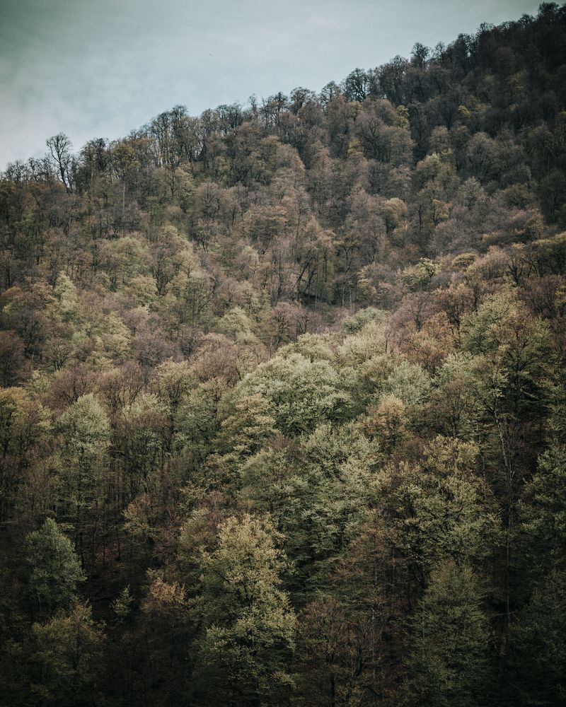 Photograph by Gevorg Avetisyan