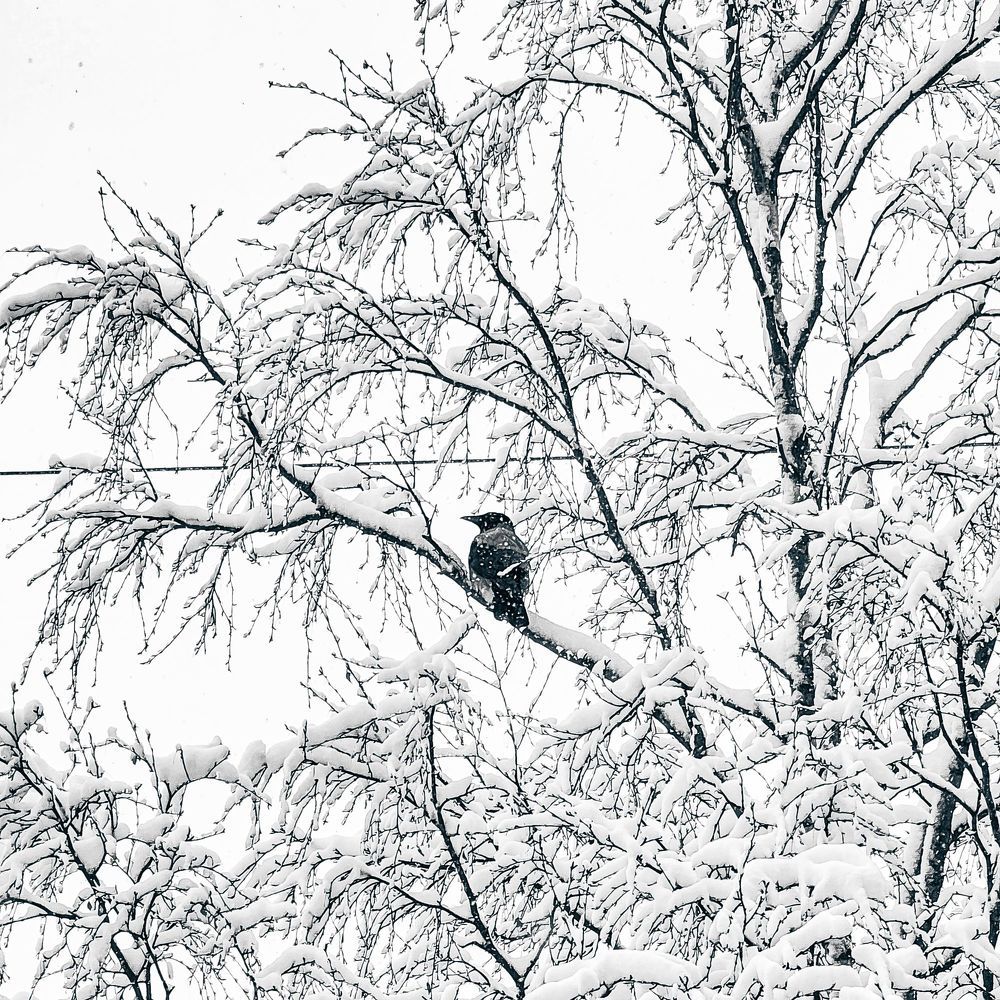 Photograph by Александр Максимов