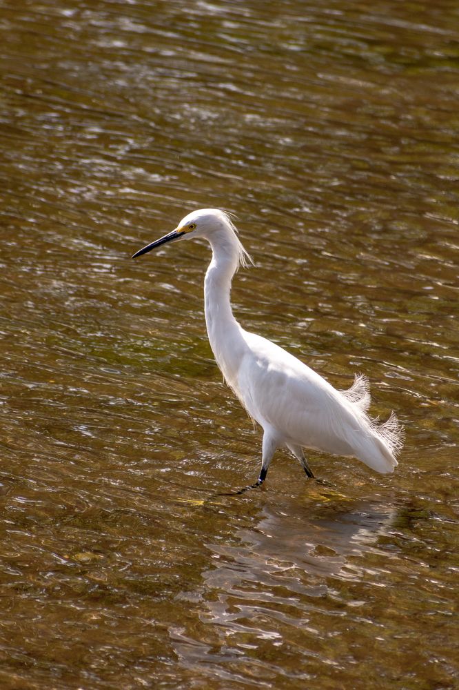 Photograph by Mauricio Santiago Boulogne