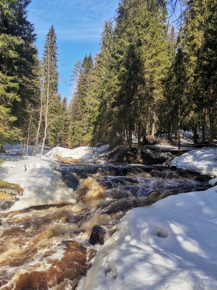 Photograph by Андрей Соколов