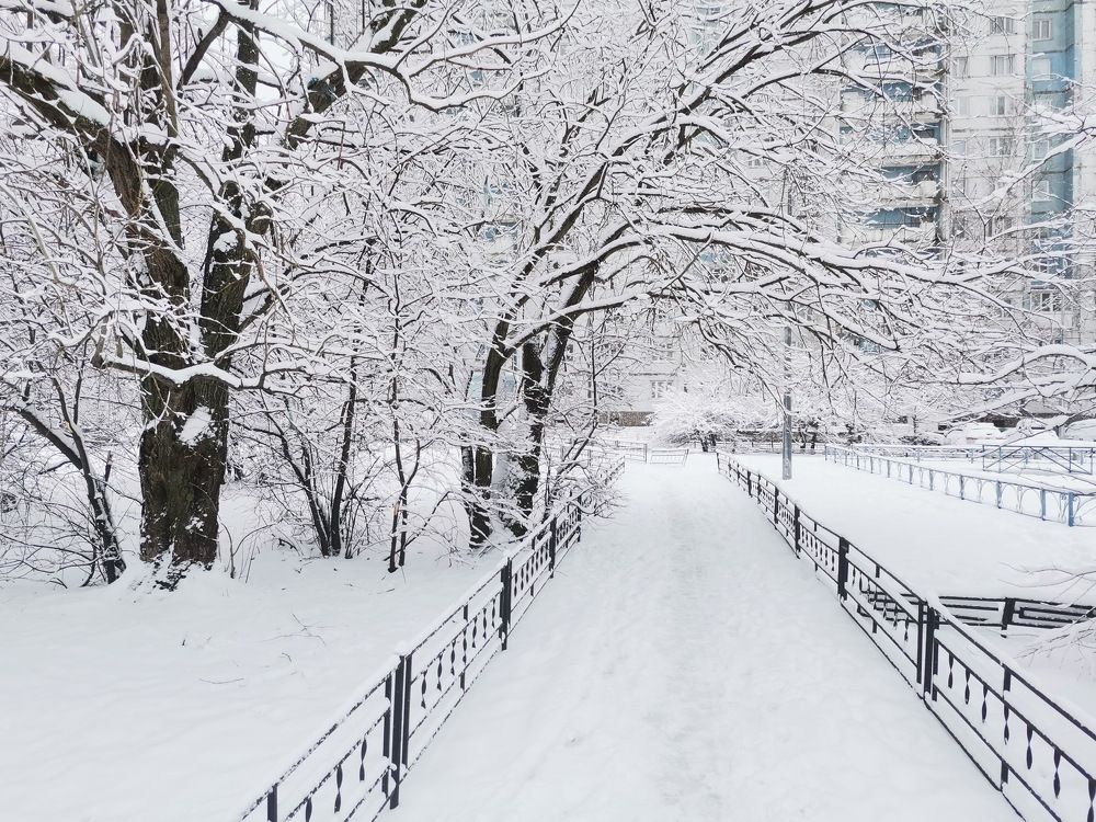 Зимнее утро