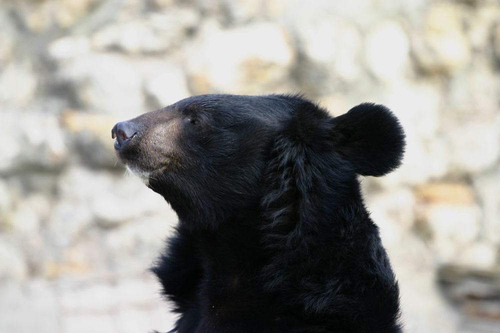 Photograph by Milla Luca