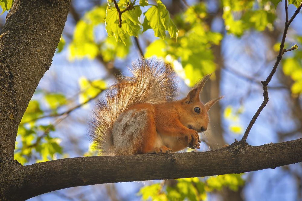 Вечерняя встреча.