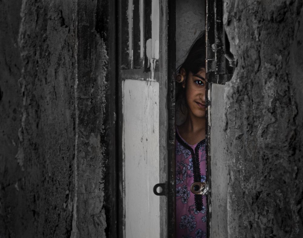 Фотография автора Amin Zand miralvand