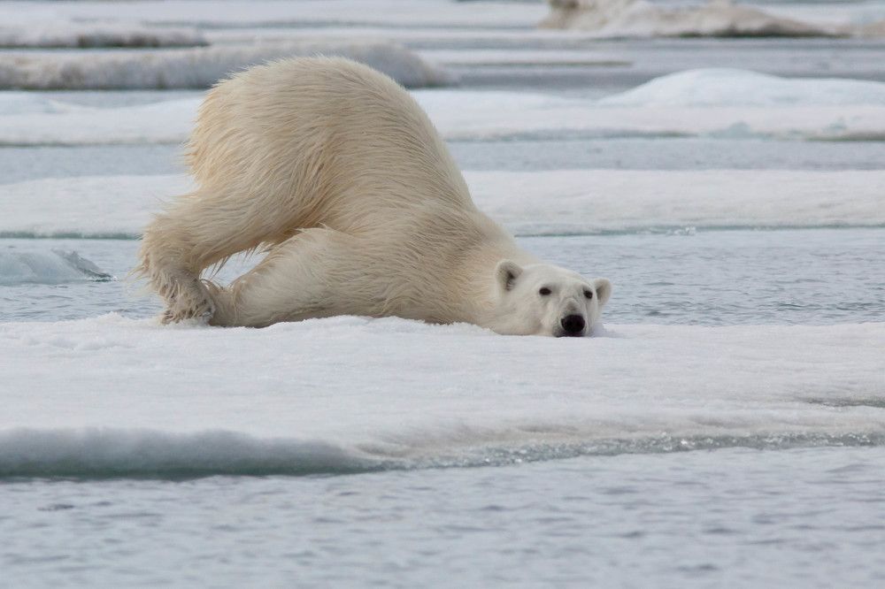Photograph by Марина Маликова
