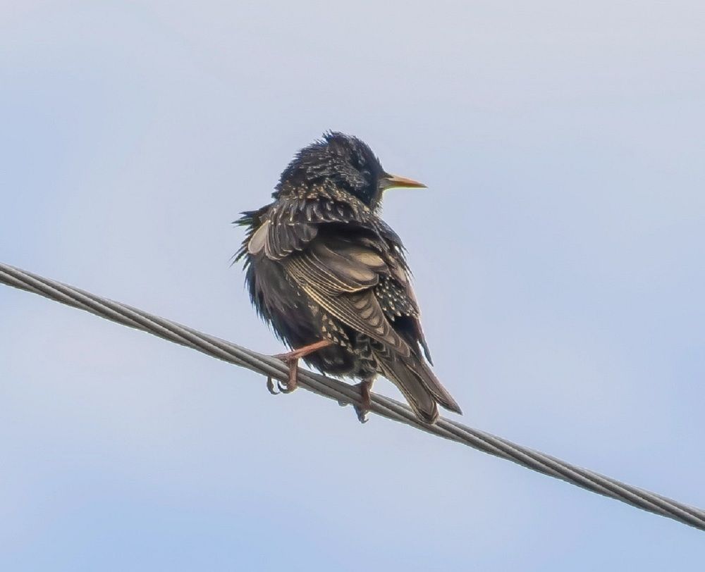 Photograph by Василий Быстрицкий