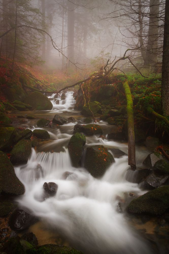 Photograph by Tonova Vania