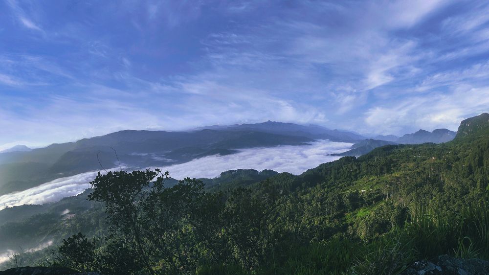 Photograph by Vitharanage Prabath Mihiran Rodr