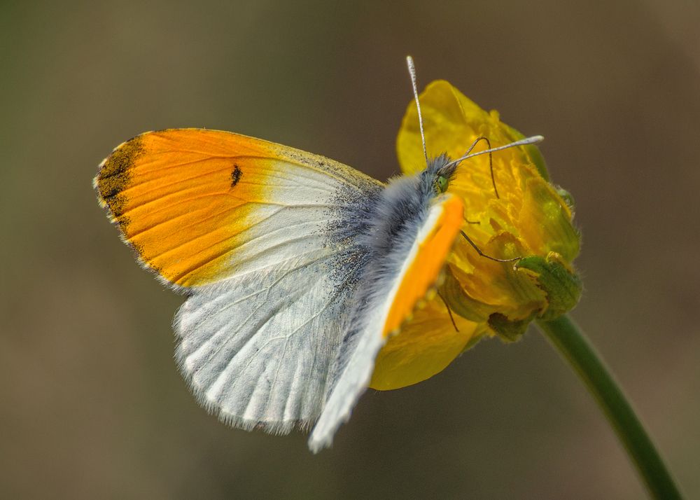 Photograph by Сергей Алексеев