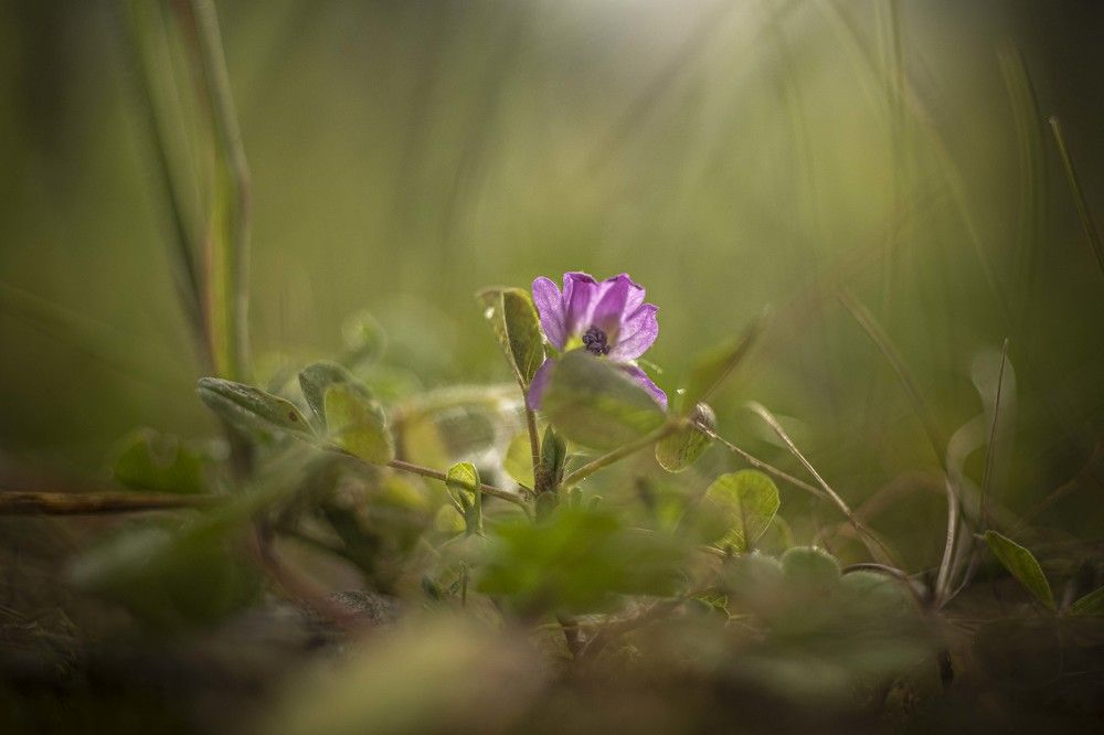 Photograph by Amelia Pardo