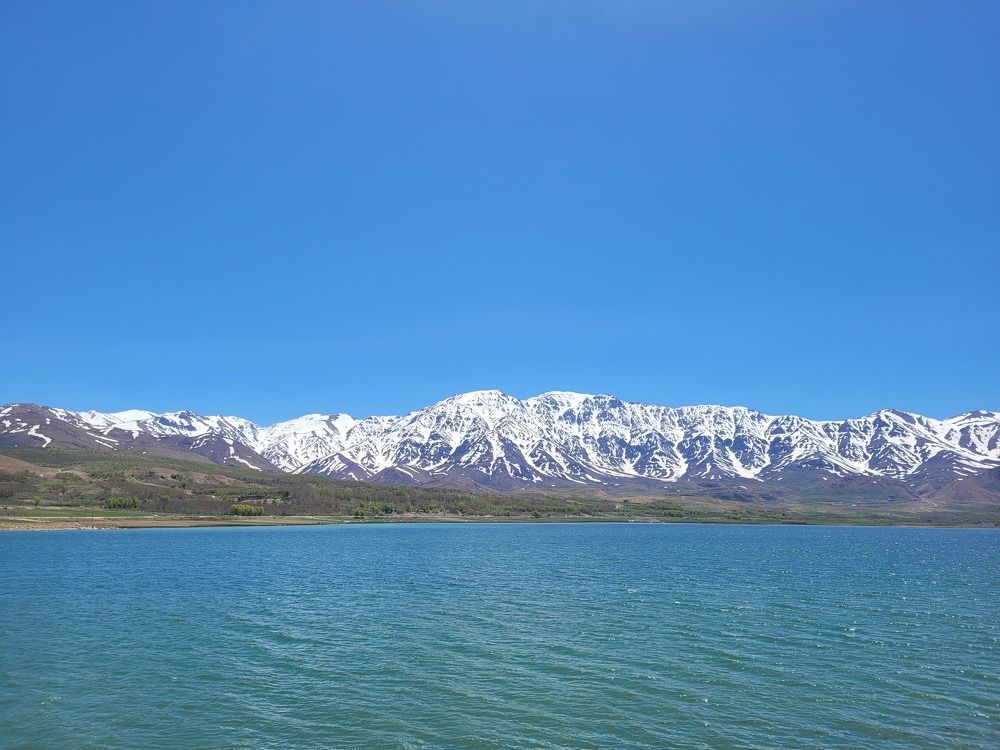 Photograph by hana hakima