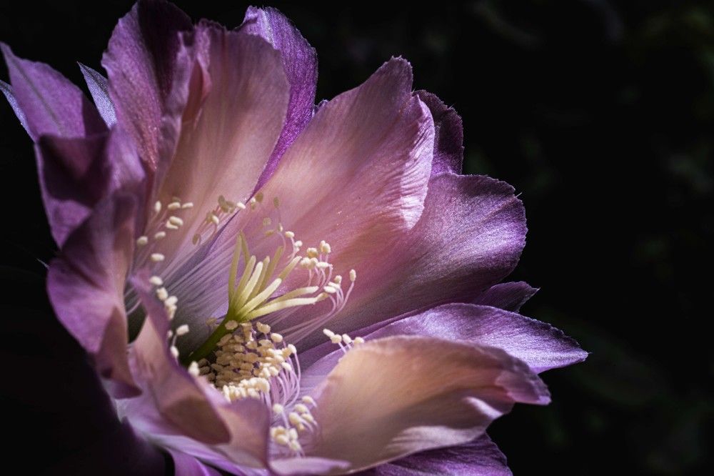 Photograph by Amelia Pardo