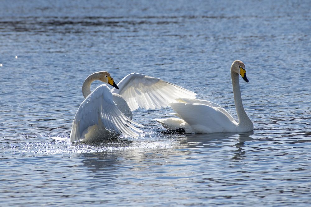 Photograph by Евгений Санин