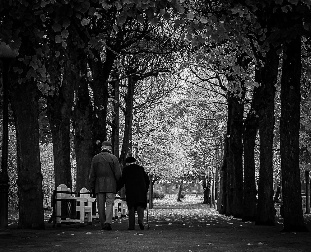 Фотография автора Снежана Вершинина