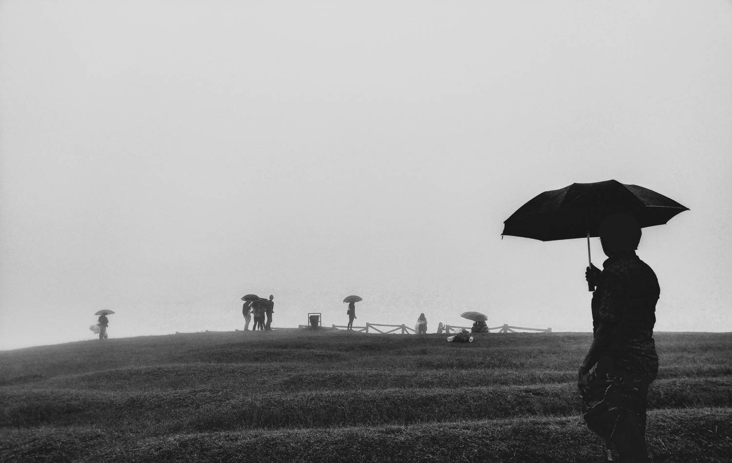 Photo #9091554