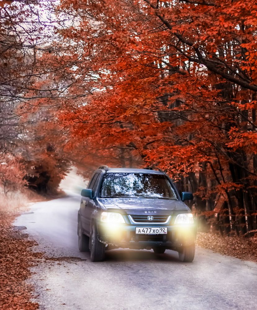 Фотография автора Оксана