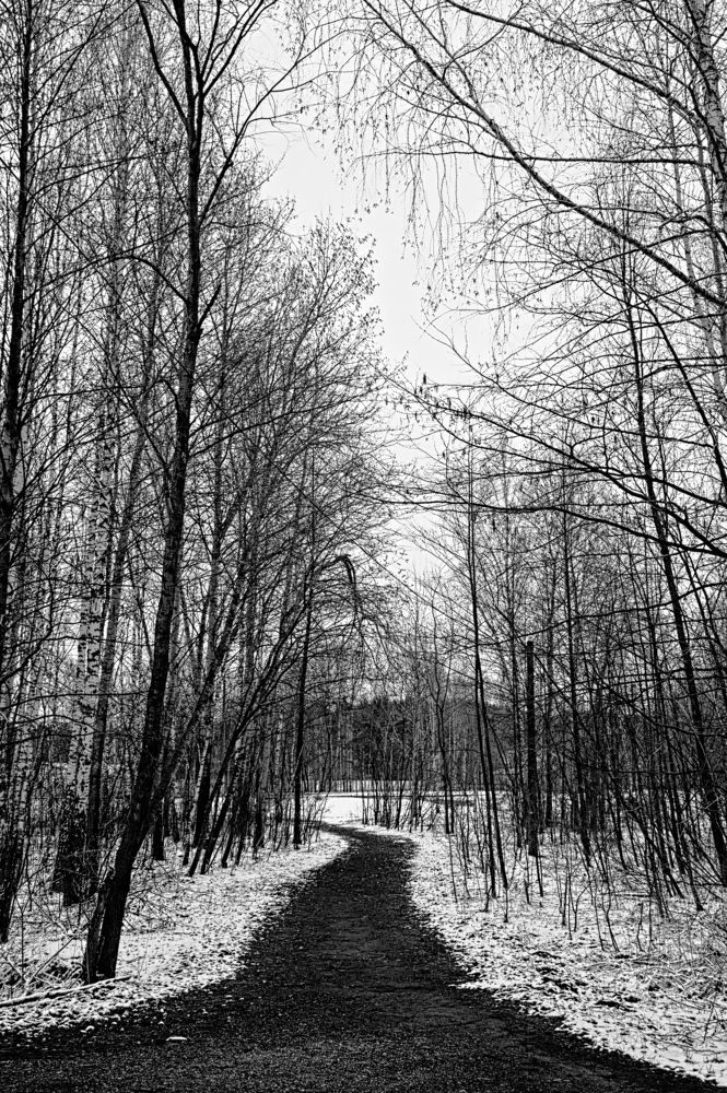 Photograph by Евгений Козлов