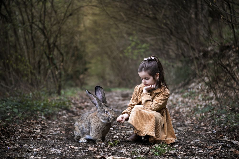 Photograph by Олеся Бучацька