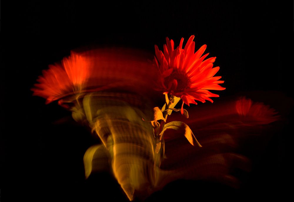 Photograph by Елена Алексеева