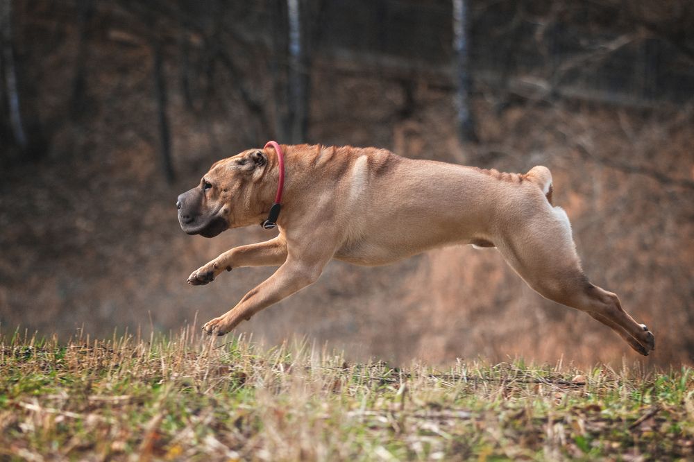 Photograph by Карташёва Юлия