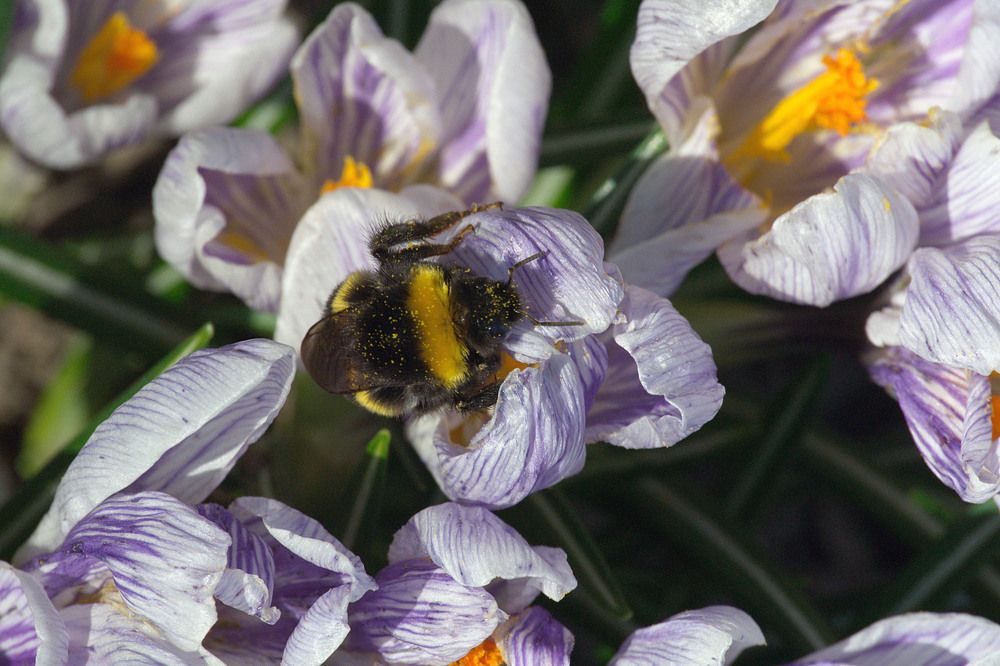 Photograph by Yroslava Veretina