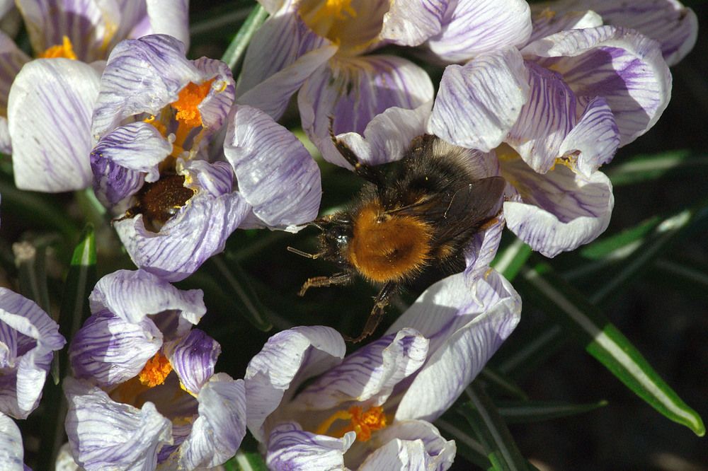 Photograph by Yroslava Veretina