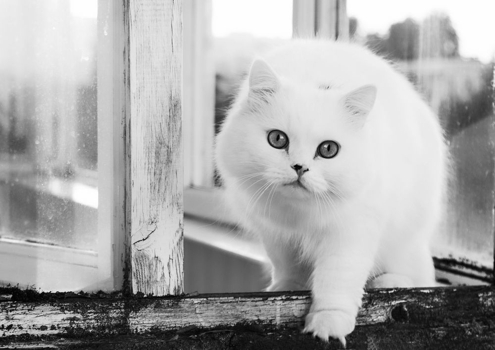 Photograph by Татьяна Савраева