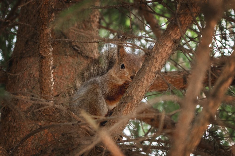 Photograph by Карташёва Юлия