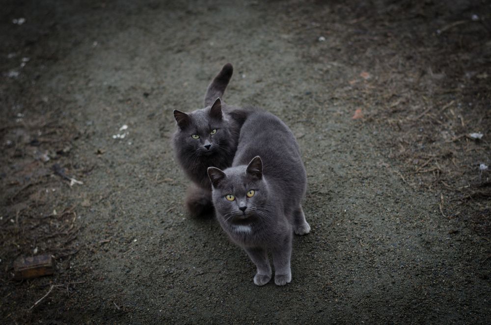 Photograph by Константин Числов