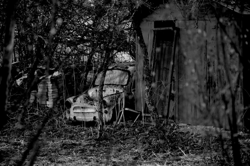 Фотография автора Роман Коновалов