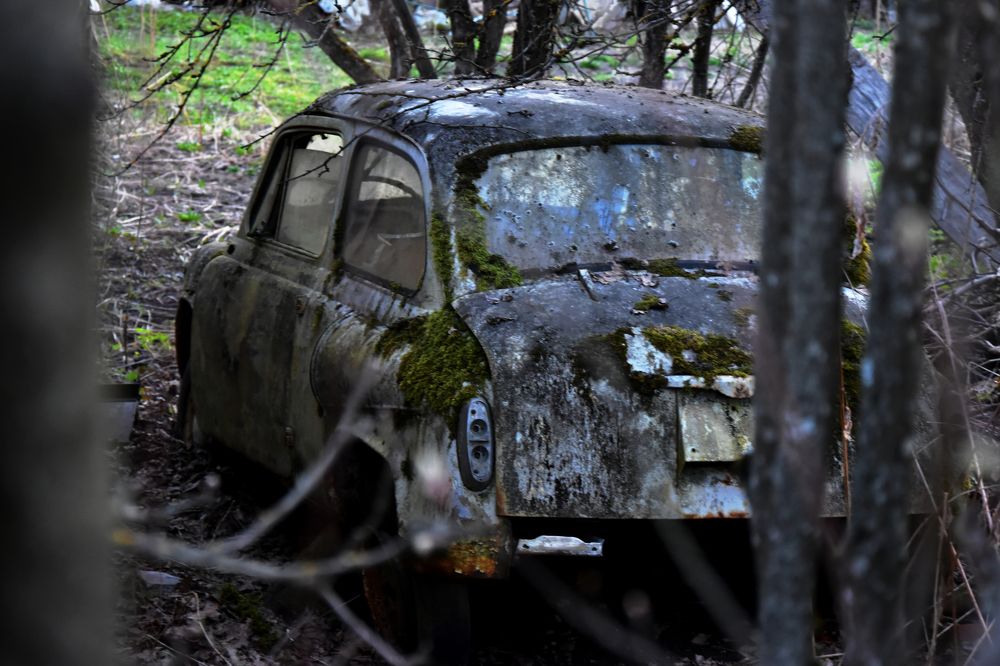 Фотография автора Роман Коновалов