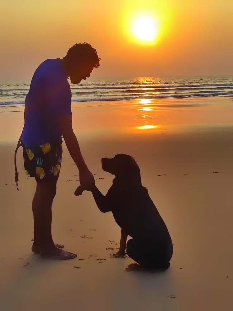 Фотография автора Venkatesh Rao